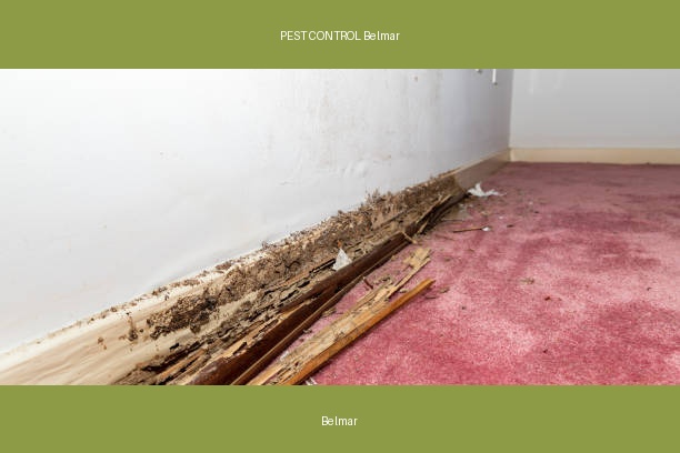 PEST CONTROL Belmar